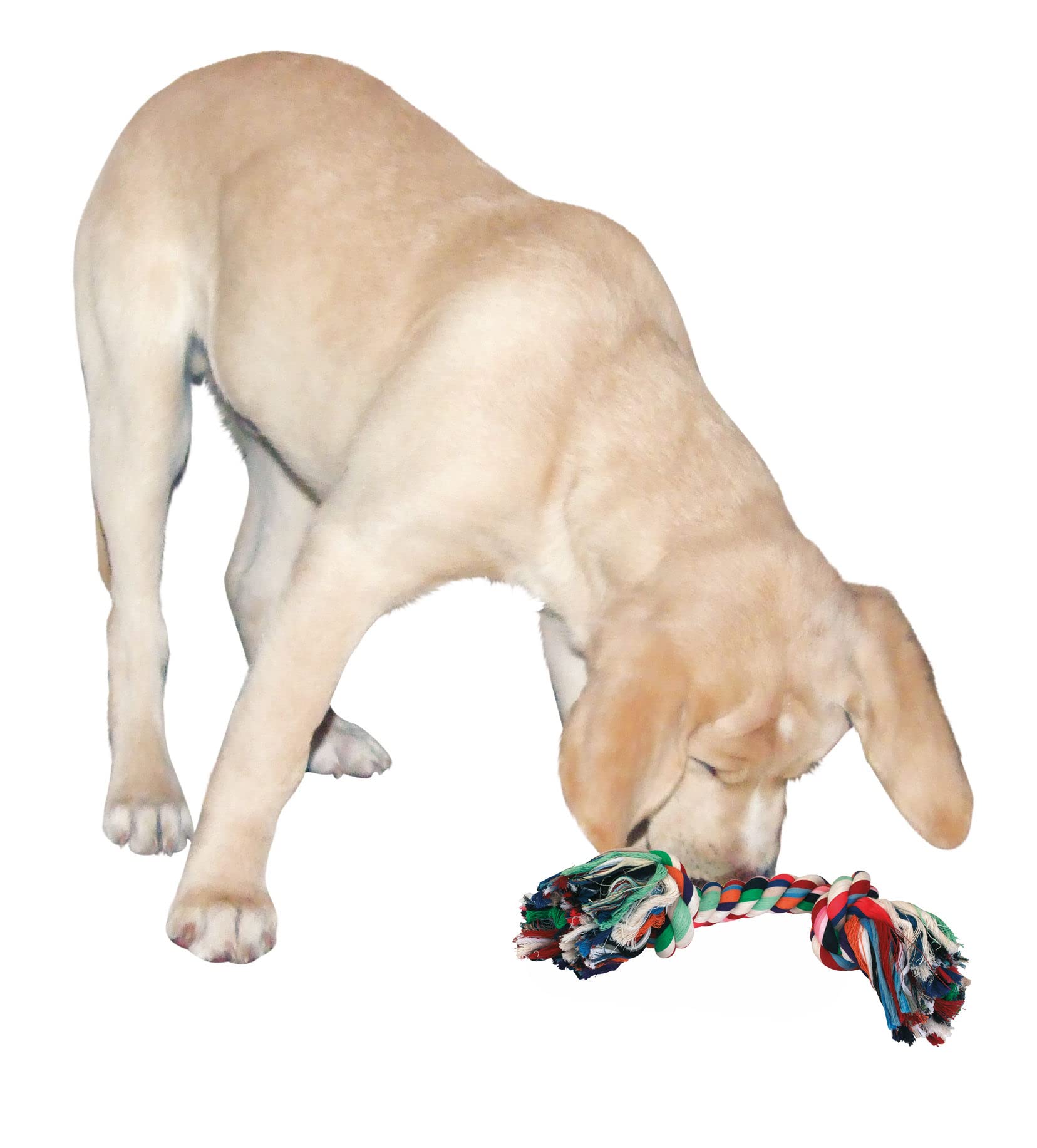 kerbl-pet-zahnknoten-aus-baumwolle-26-cm-120-g-kauspielzeug-f-r-hunde image 2