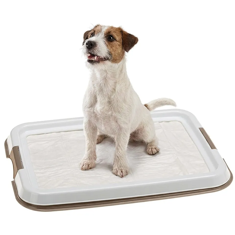 ferplast-hygienic-pad-tray-s-hundetoilette-49-x-36-x-3-cm image 1