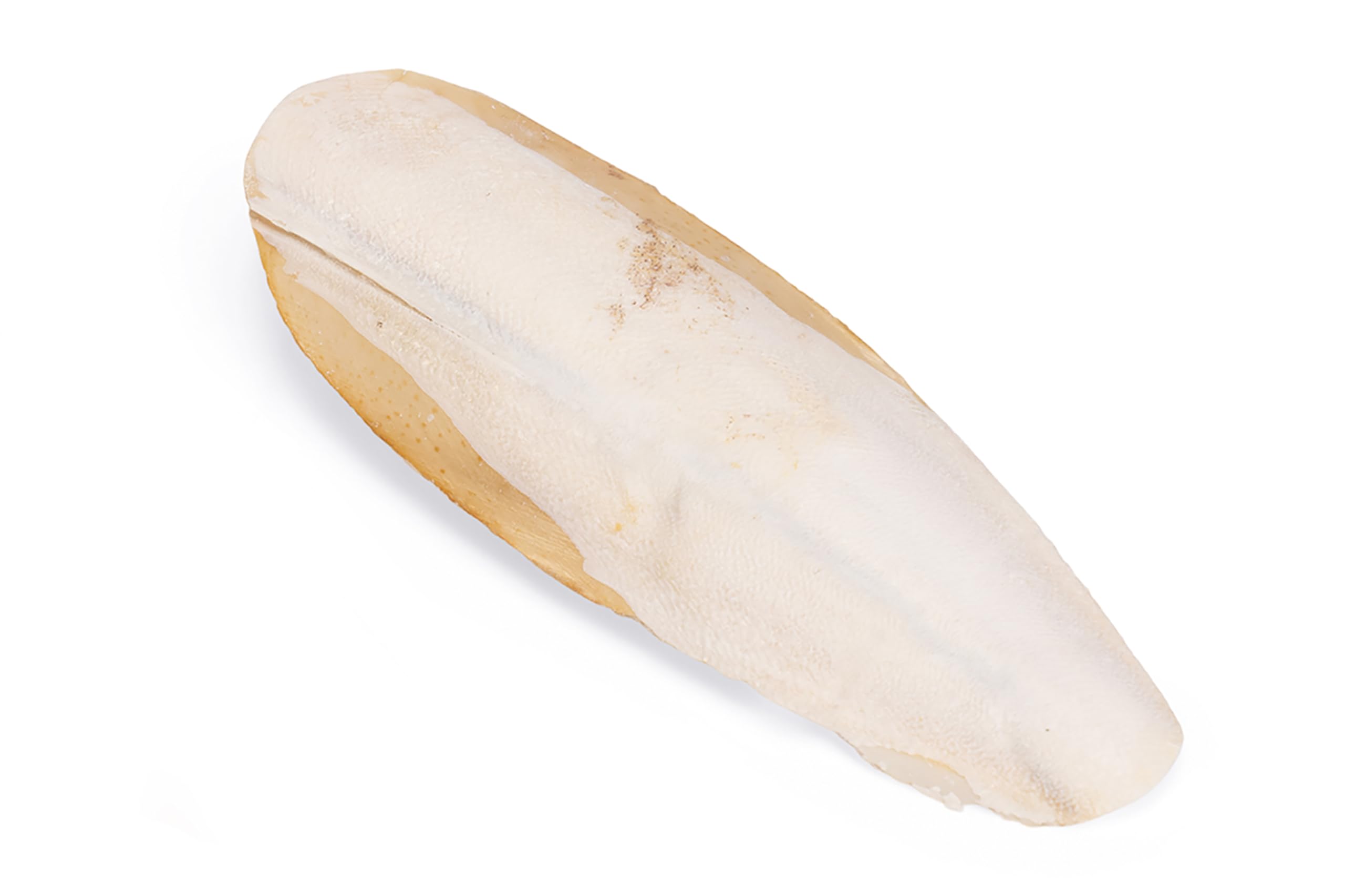 karlie-sepiaschale-16-cm-mit-halterung-f-r-v-gel-und-reptilien image 4
