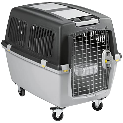 kerbl-transportbox-gulliver-5-iata-81x61x60-cm image 6