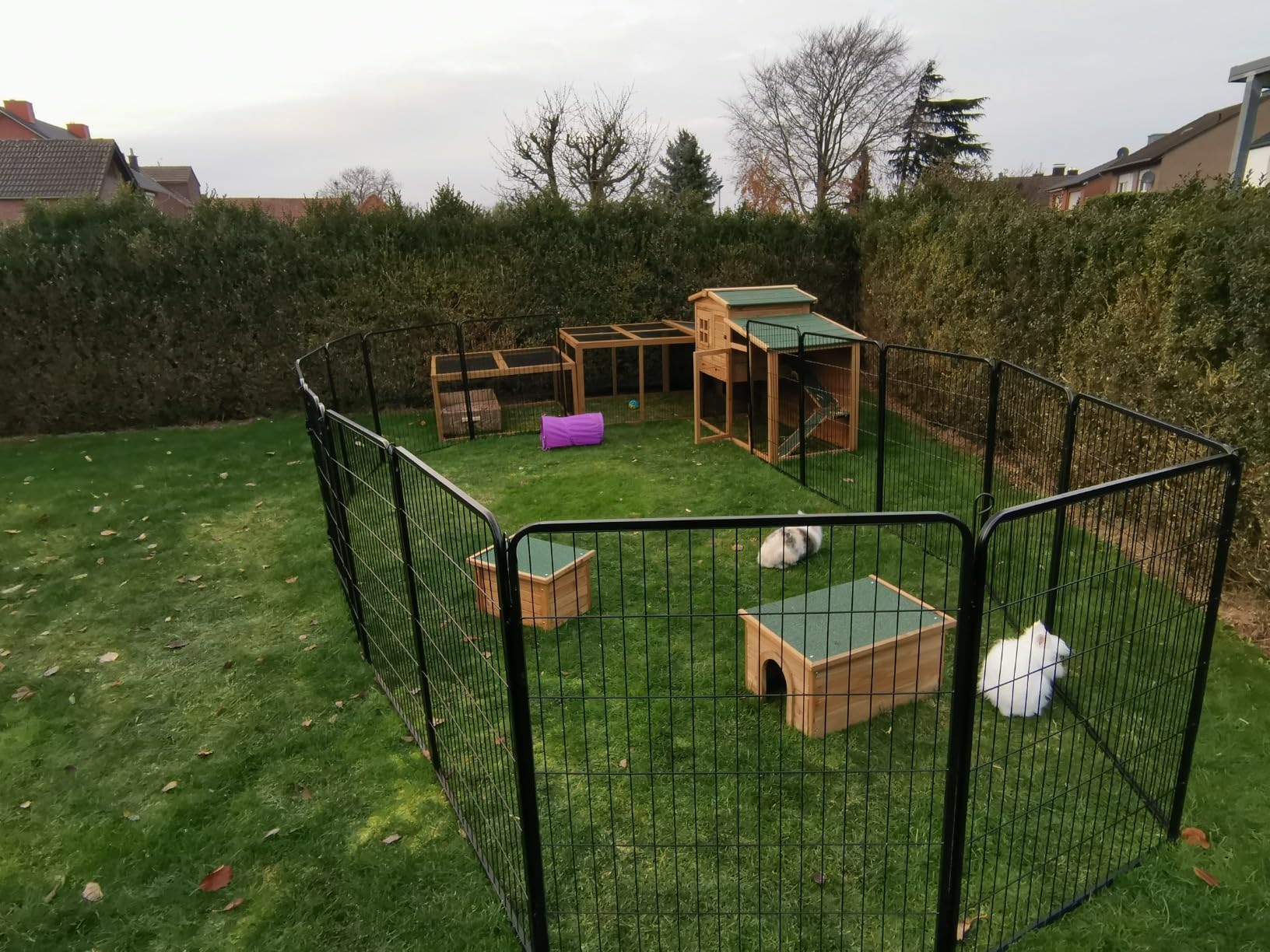 Top Auslauf für den Garten