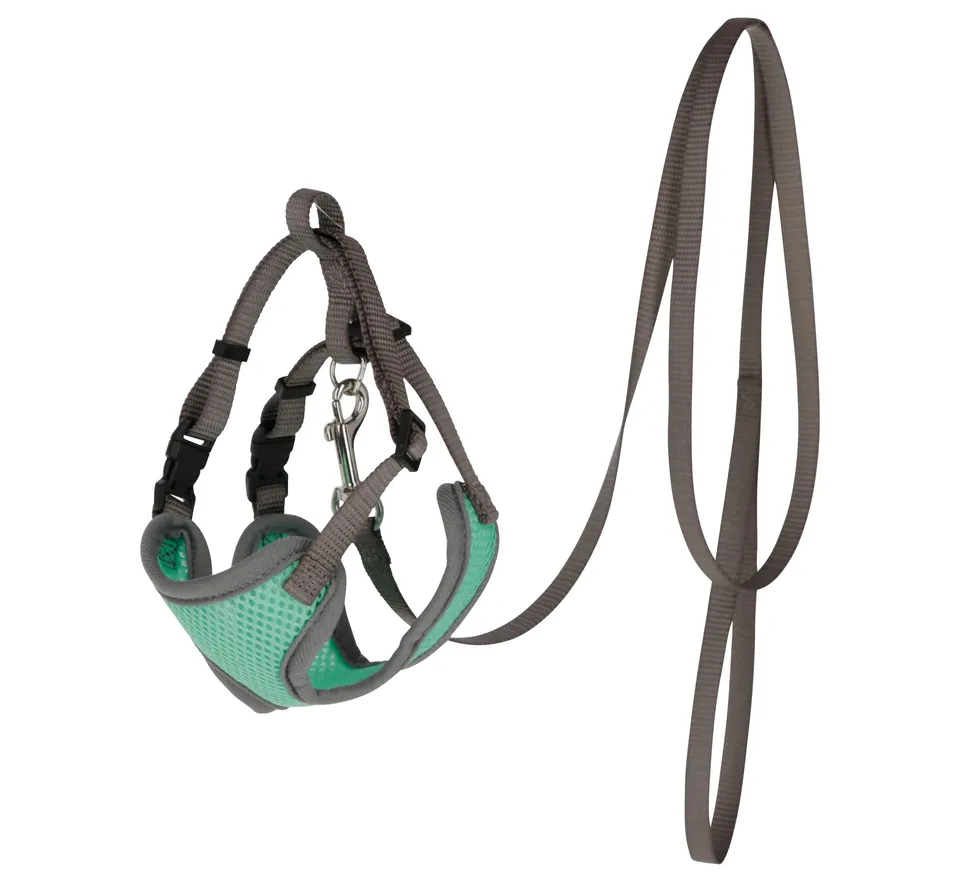 kerbl-pet-katzengeschirr-mit-leine-120-cm-x-10-mm-t-rkis image 1