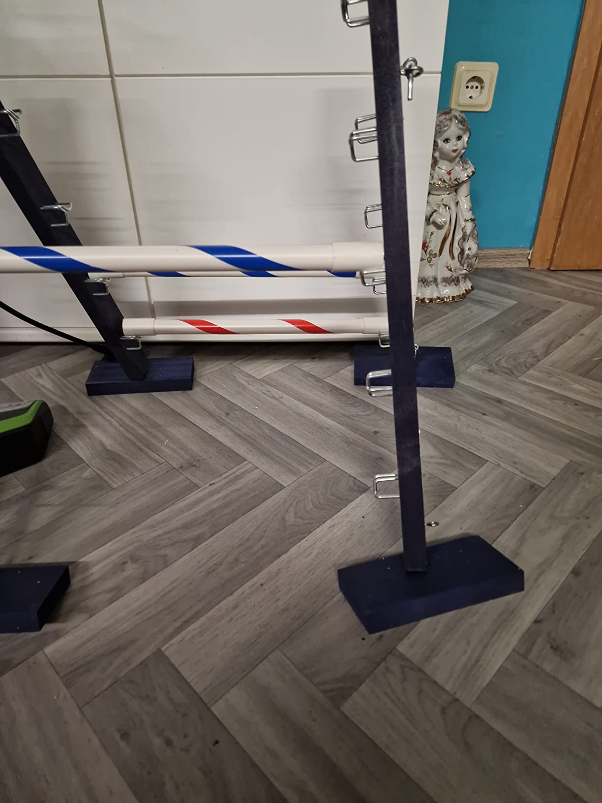 Tolles Training für Kaninchen
