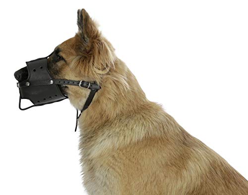 kerbl-pet-leder-maulkorb-m-schwarz-u-26-cm-maulkorb-aus-echtleder-f-r-hunde image 4