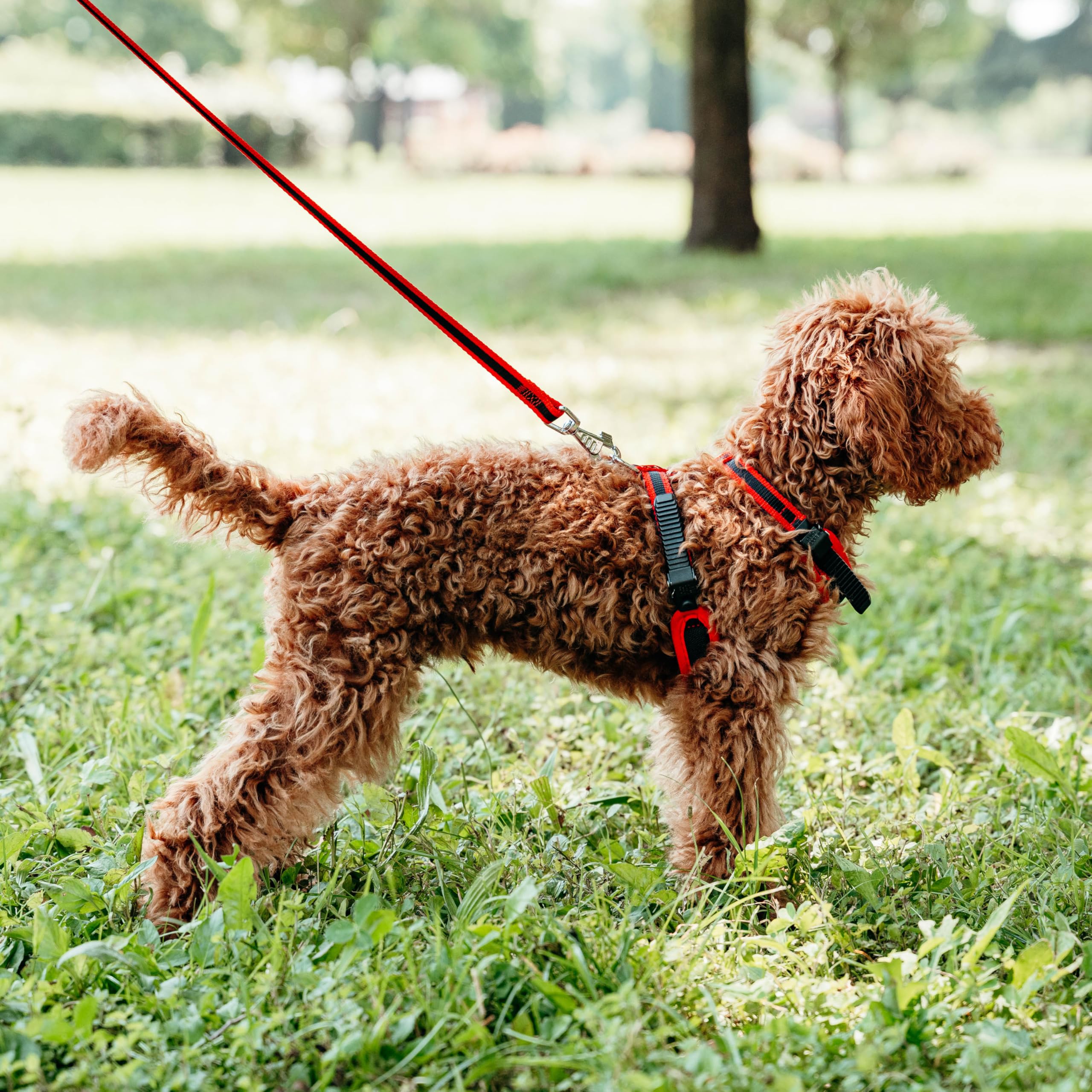 ferplast-ergocomfort-hundegeschirr-xs-rot-f-r-kleine-hunde-bis-15-kg image 2