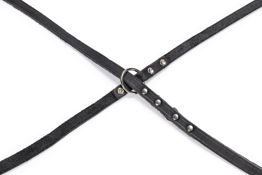 karlie-rondo-f-hrleine-genietet-200-cm-x-12-mm-schwarz image 2