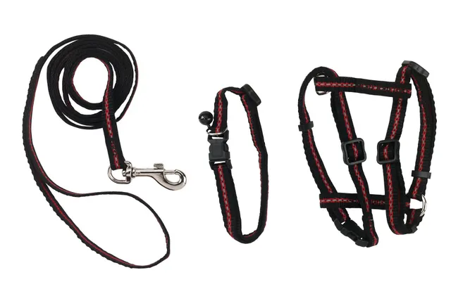 kerbl-pet-katzen-set-halsband-geschirr-und-leine-reflektierend-aus-nylon image 1