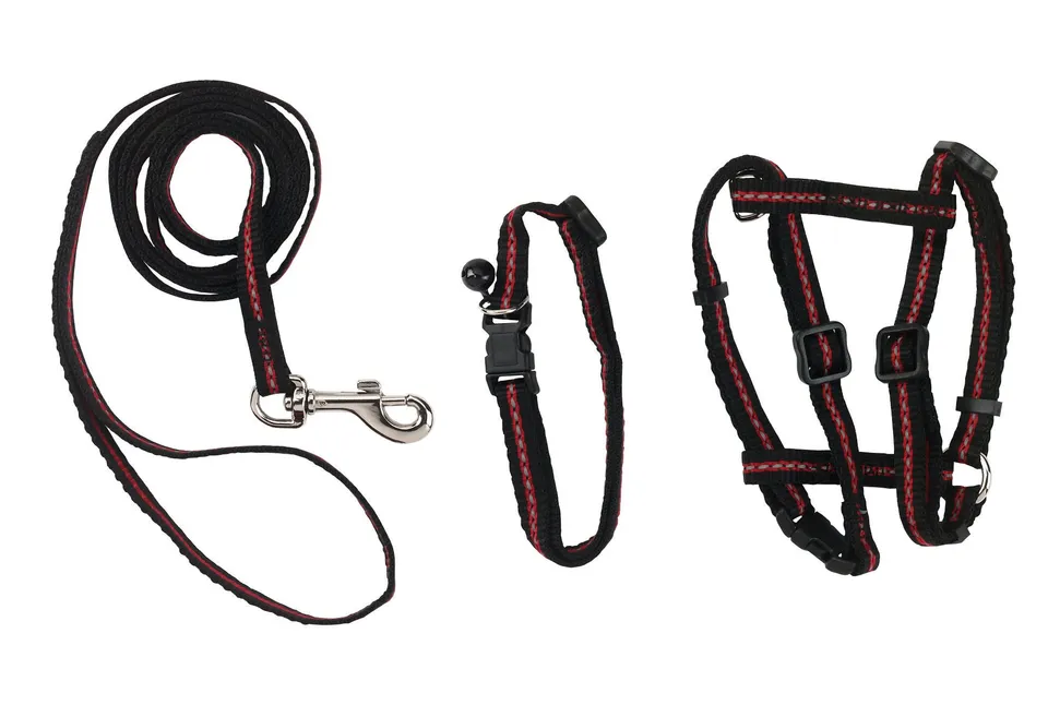 kerbl-pet-katzen-set-halsband-geschirr-und-leine-reflektierend-aus-nylon image 1