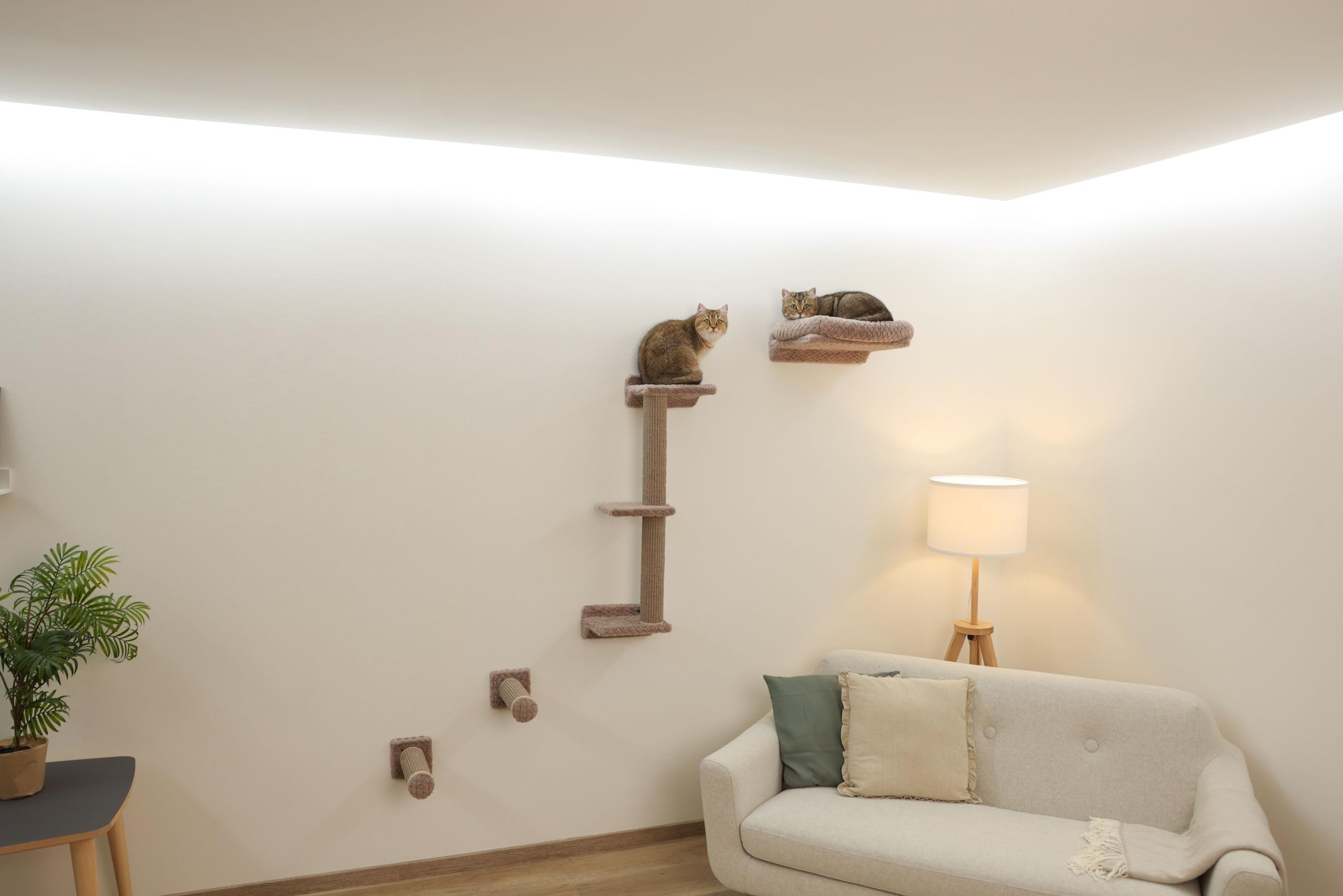 kerbl-pet-monte-alpi-kletterwand-wandkratzbaum-8-teilig-taupe-bis-10-kg image 4