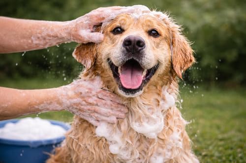 karlie-basispflege-shampoo-hundeshampoo-300-ml image 6