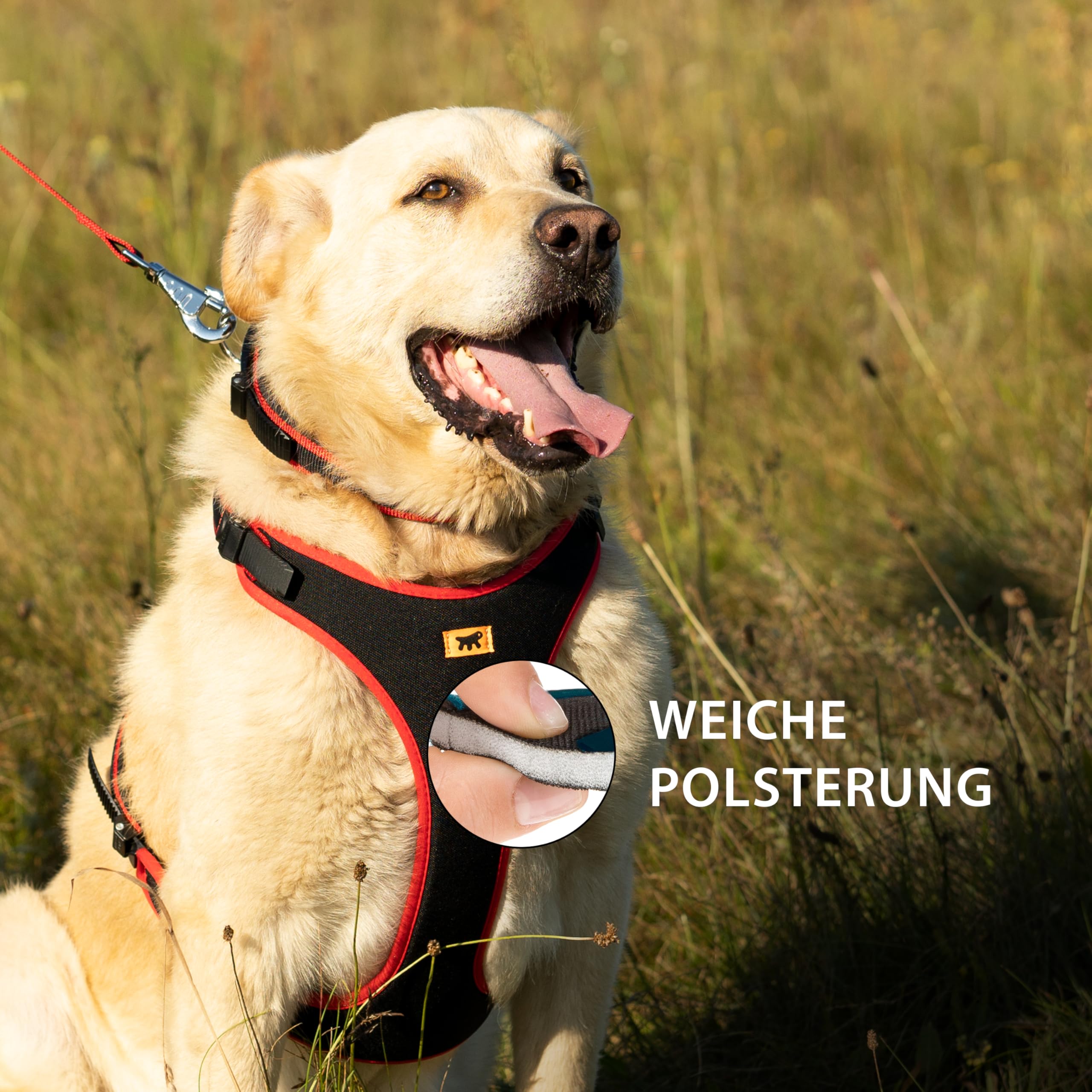 ferplast-ergocomfort-hundegeschirr-xs-rot-f-r-kleine-hunde-bis-15-kg image 5