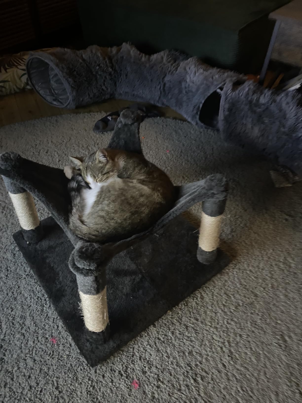 Traumplatz!
