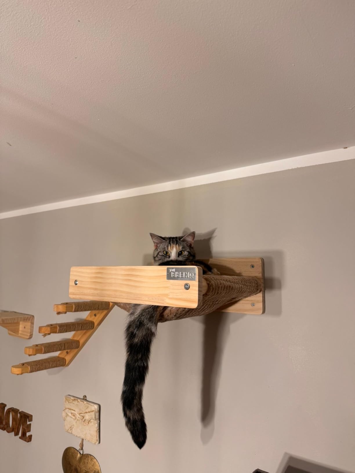 Platzwunder an der Wand