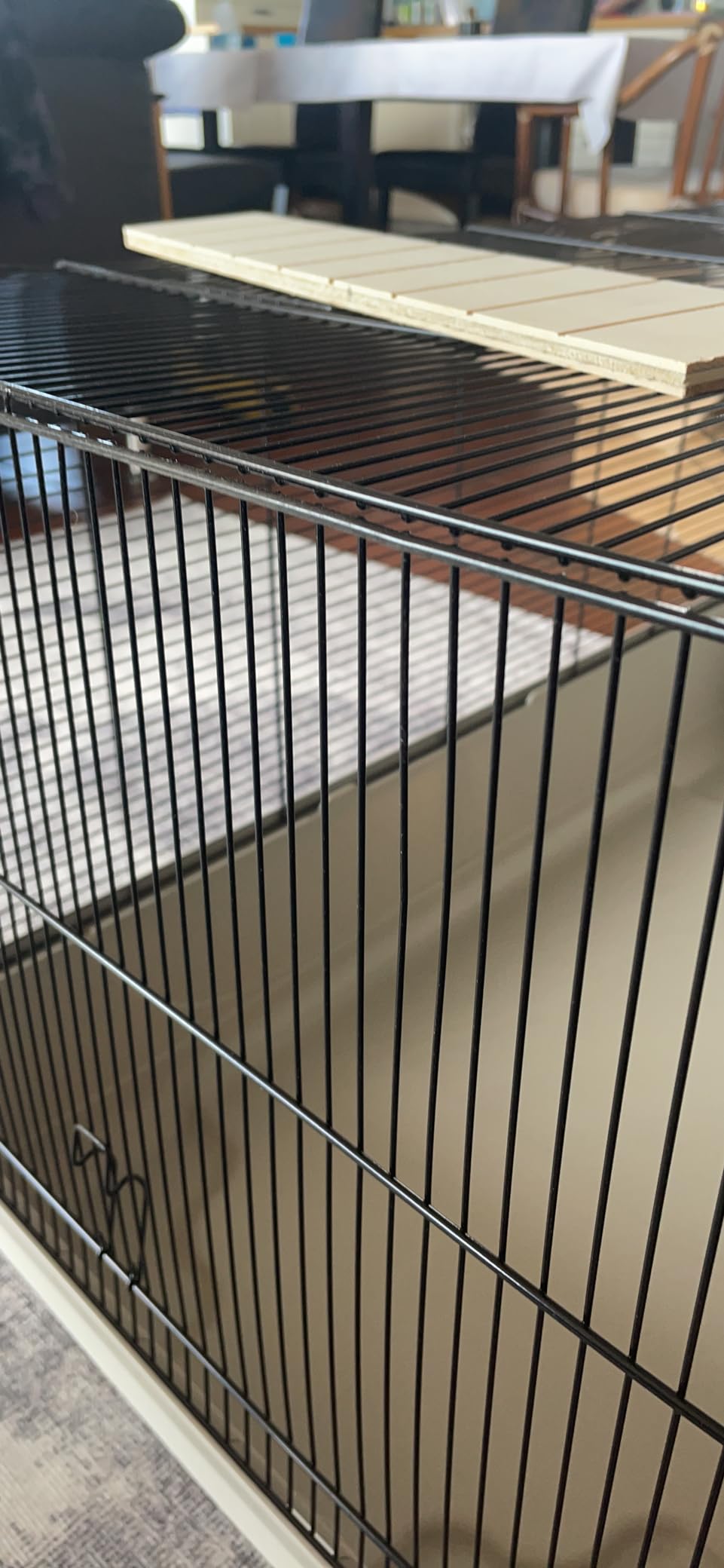 Schneller Aufbau, glücklicher Hamster