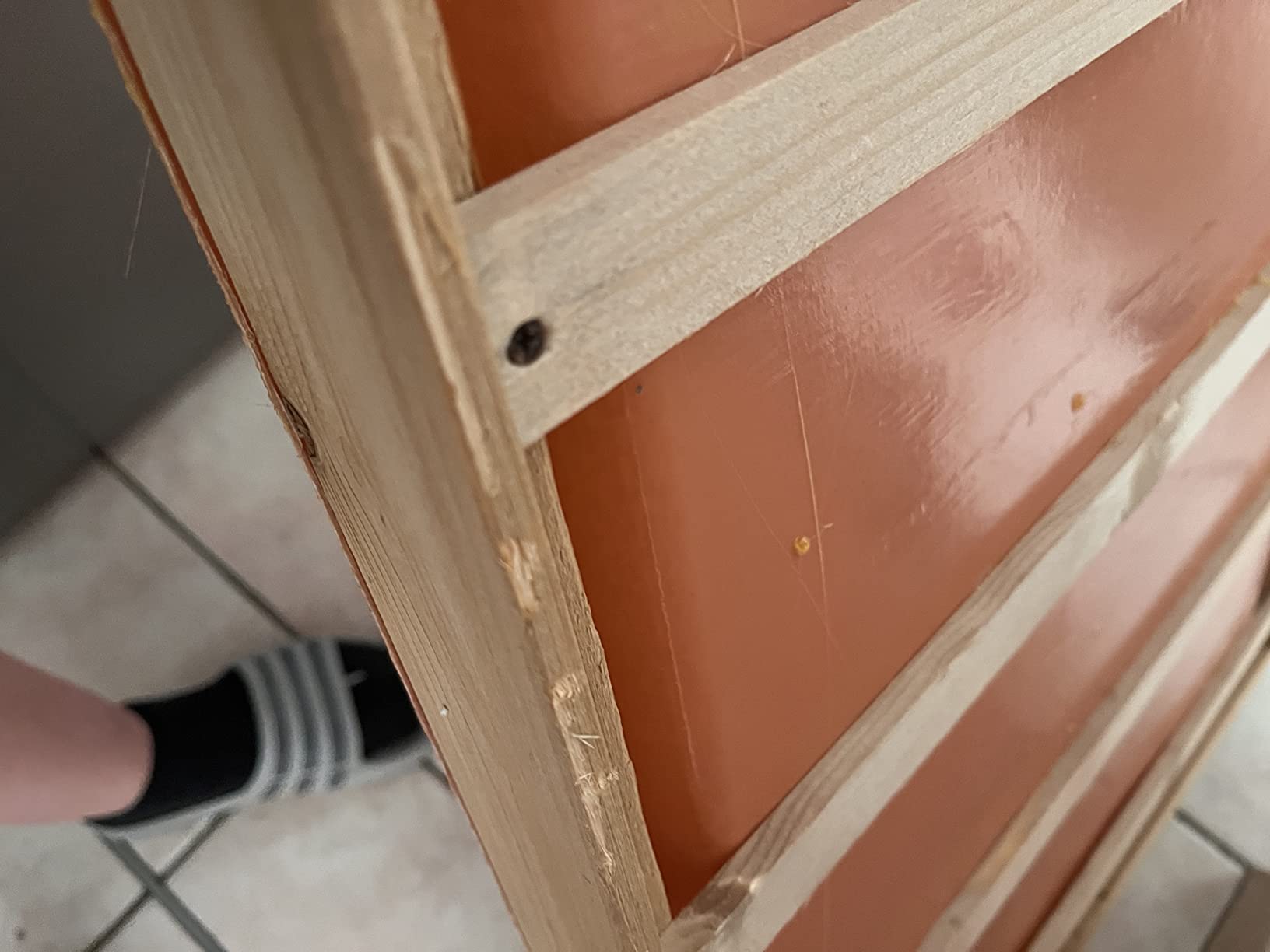 Preis-Leistung stimmt