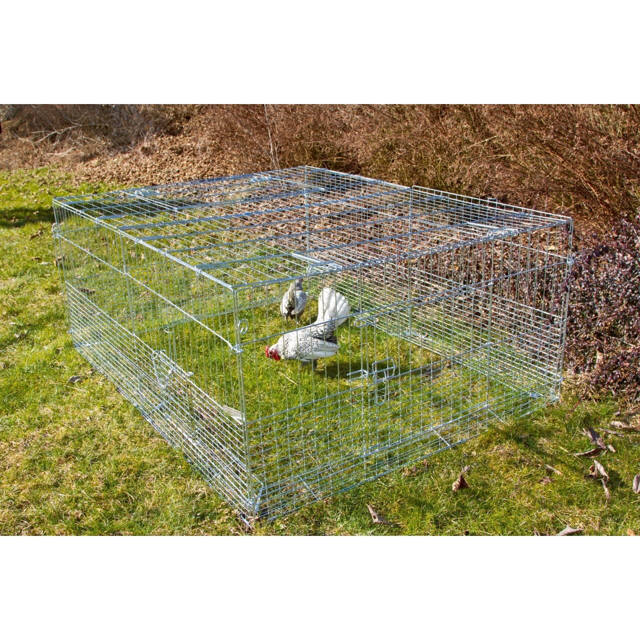 kerbl-pet-jungtier-freilaufgehege-mit-ausbruchsperre-144-x-112-x-60-cm-verzinkt image 7