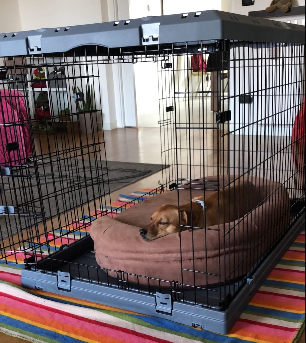 Palast für unsere Dogge