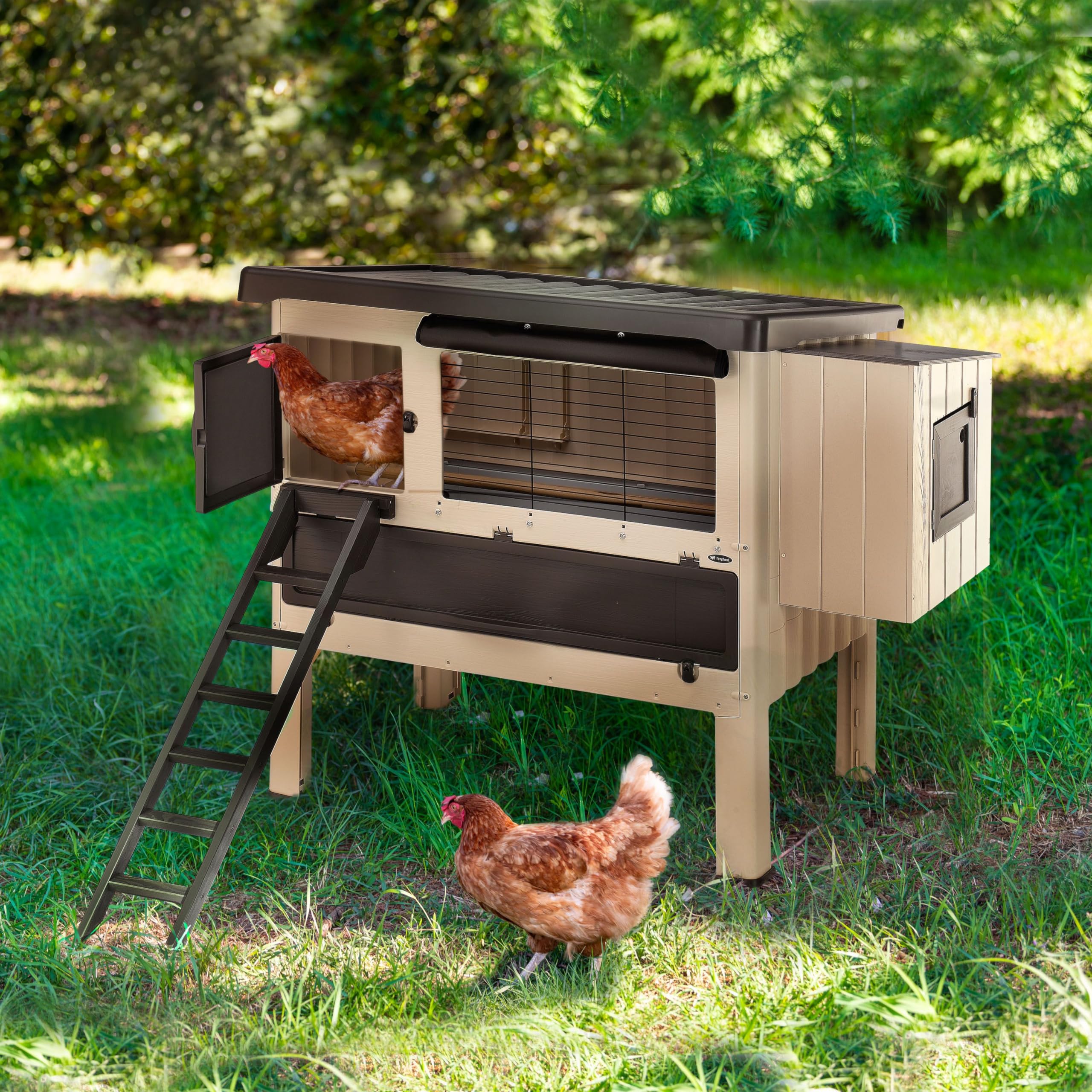 ferplast-happy-farm-120-h-hnerstall-f-r-ca-6-hennen-beige-140-x-139-x-110-cm image 3
