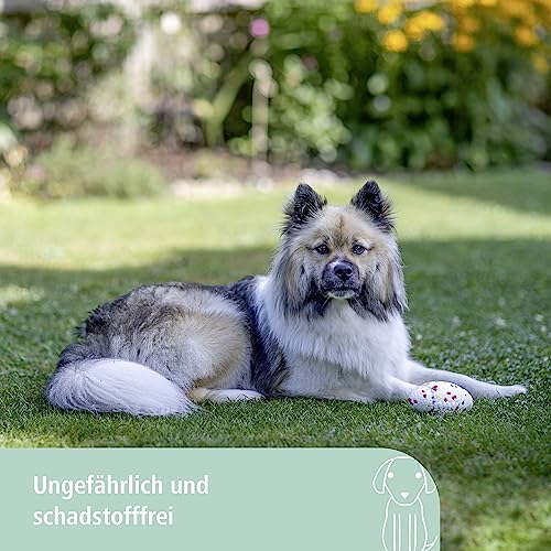 kerbl-pet-e-tpu-football-f-r-hunde-mehrfarbig-13-5-x-7-5-x-8-5-cm-schwimmf-hig image 8