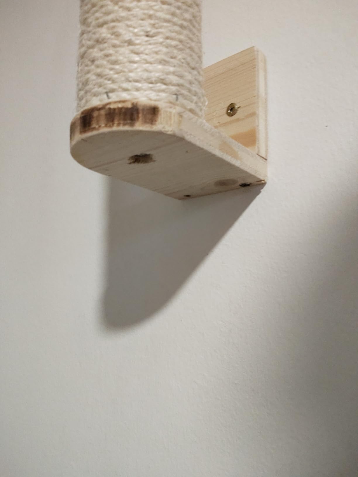 Für unsere scheue Katze nichts