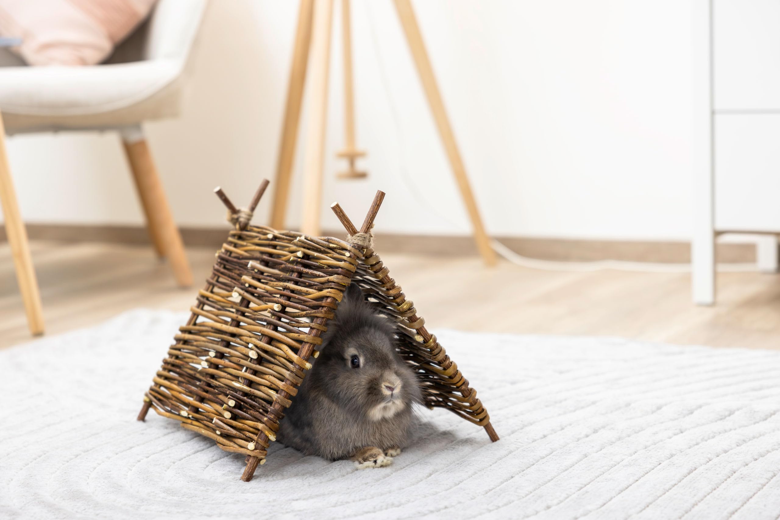 kerbl-pet-nature-tipi-zelt-37x27-cm-f-r-kaninchen-und-nagetiere image 5