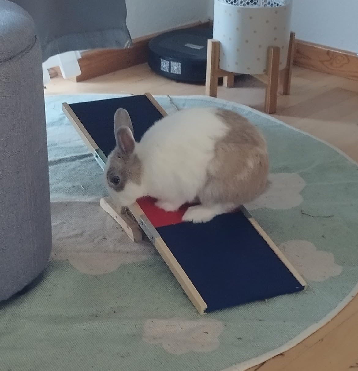 Top fürs Training!