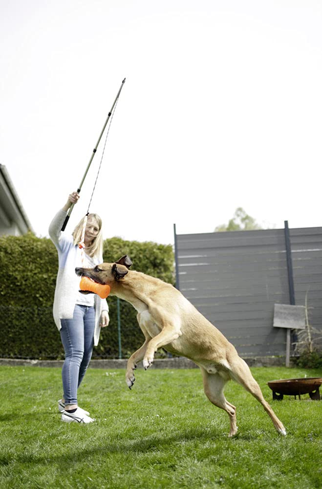 kerbl-pet-reizangel-f-r-hunde-teleskop-47-130-cm image 3
