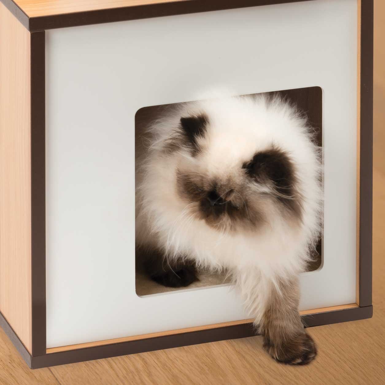catit-vesper-box-52075-katzenm-bel-klein-walnuss-kubus-h-hle-mit-kissen image 3