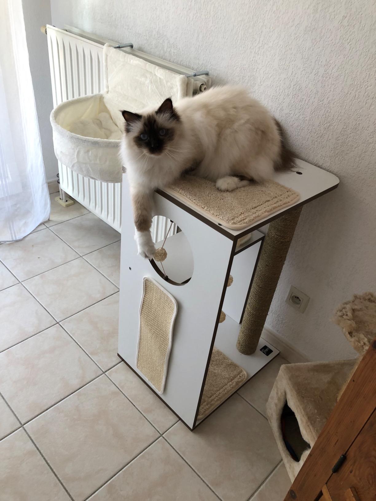 Ganz ok, nichts für Schwergewichte zum Toben