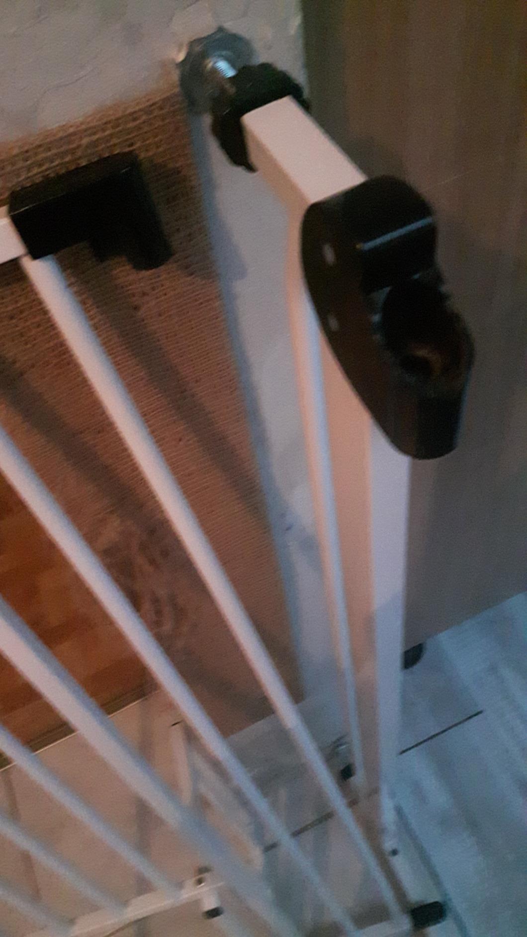 Praktisch für Hund und Katze