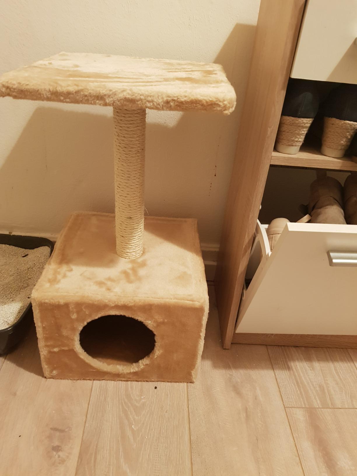 Sofa ist gerettet