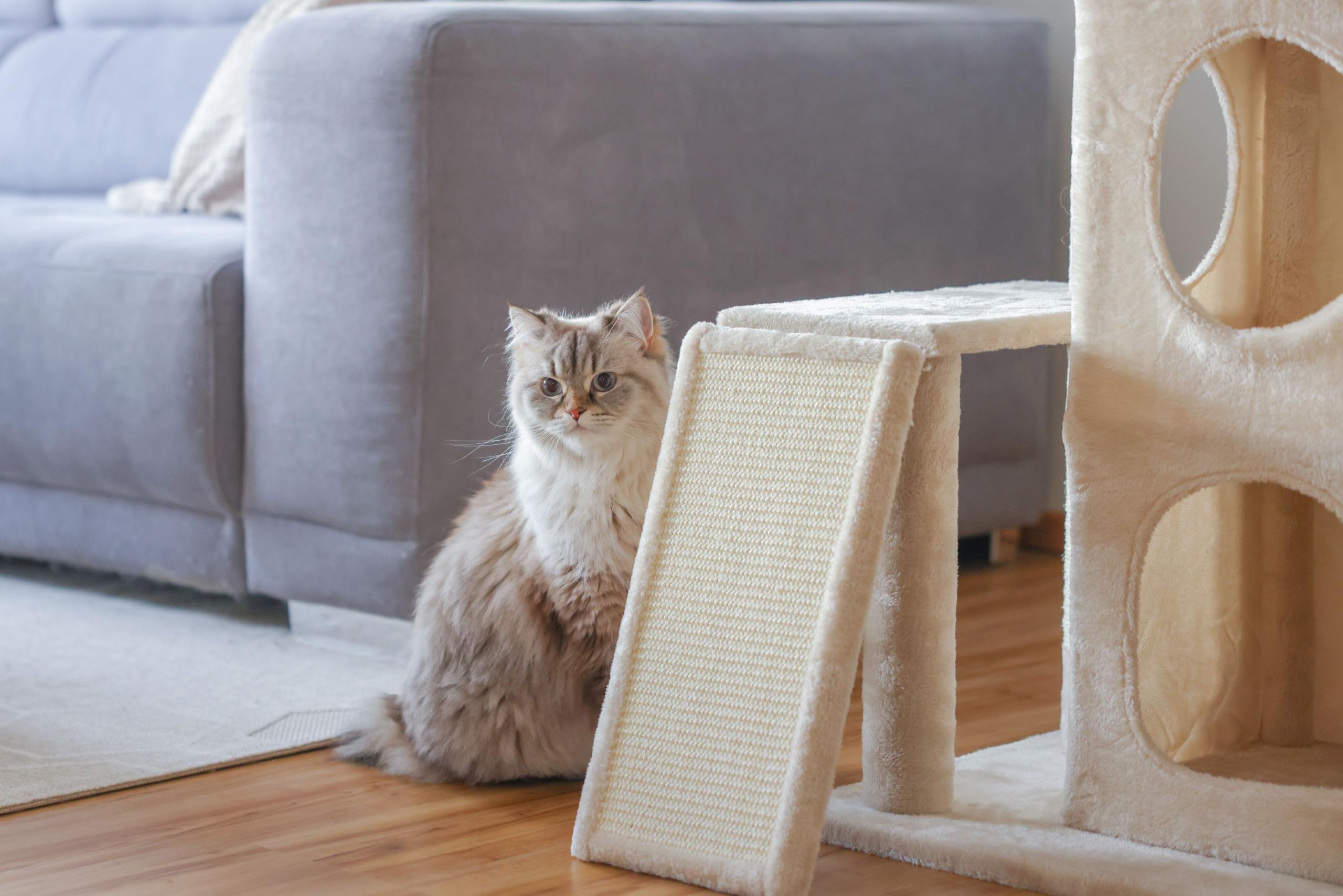 kerbl-alessia-kratzbaum-f-r-katzen-beige-48-5-x-40-x-100-cm image 4