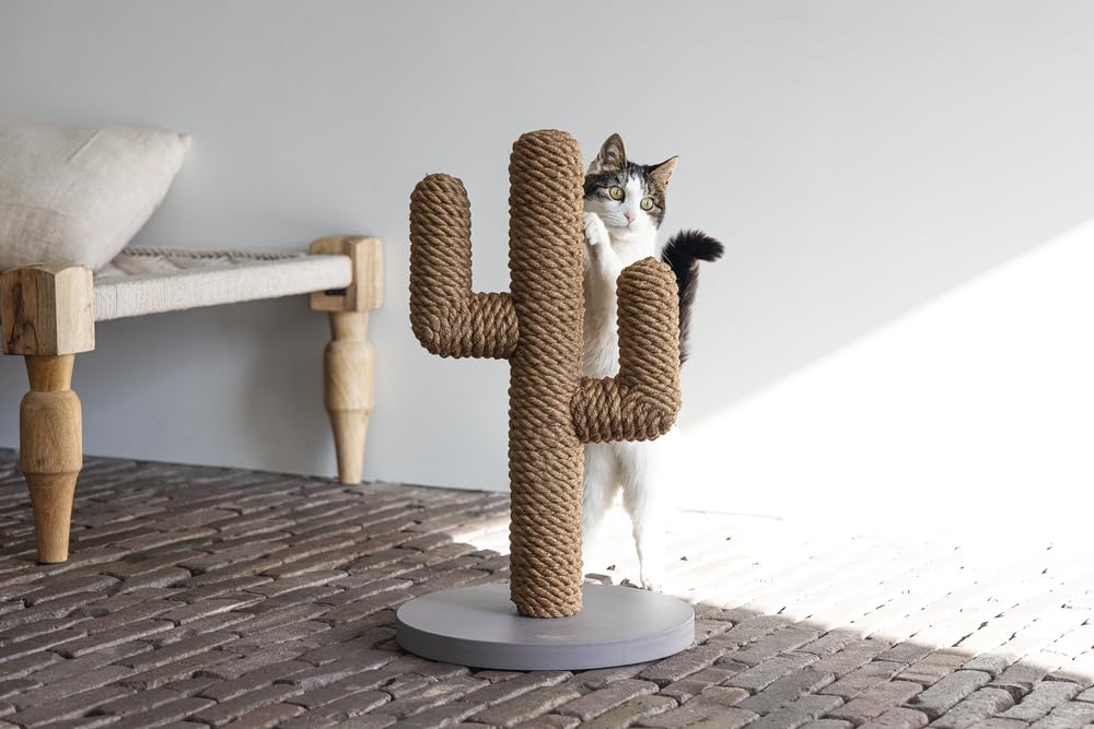karlie-designed-by-lotte-kratzbaum-cactus-60-cm-taupe-35-x-35-x-60-cm image 4