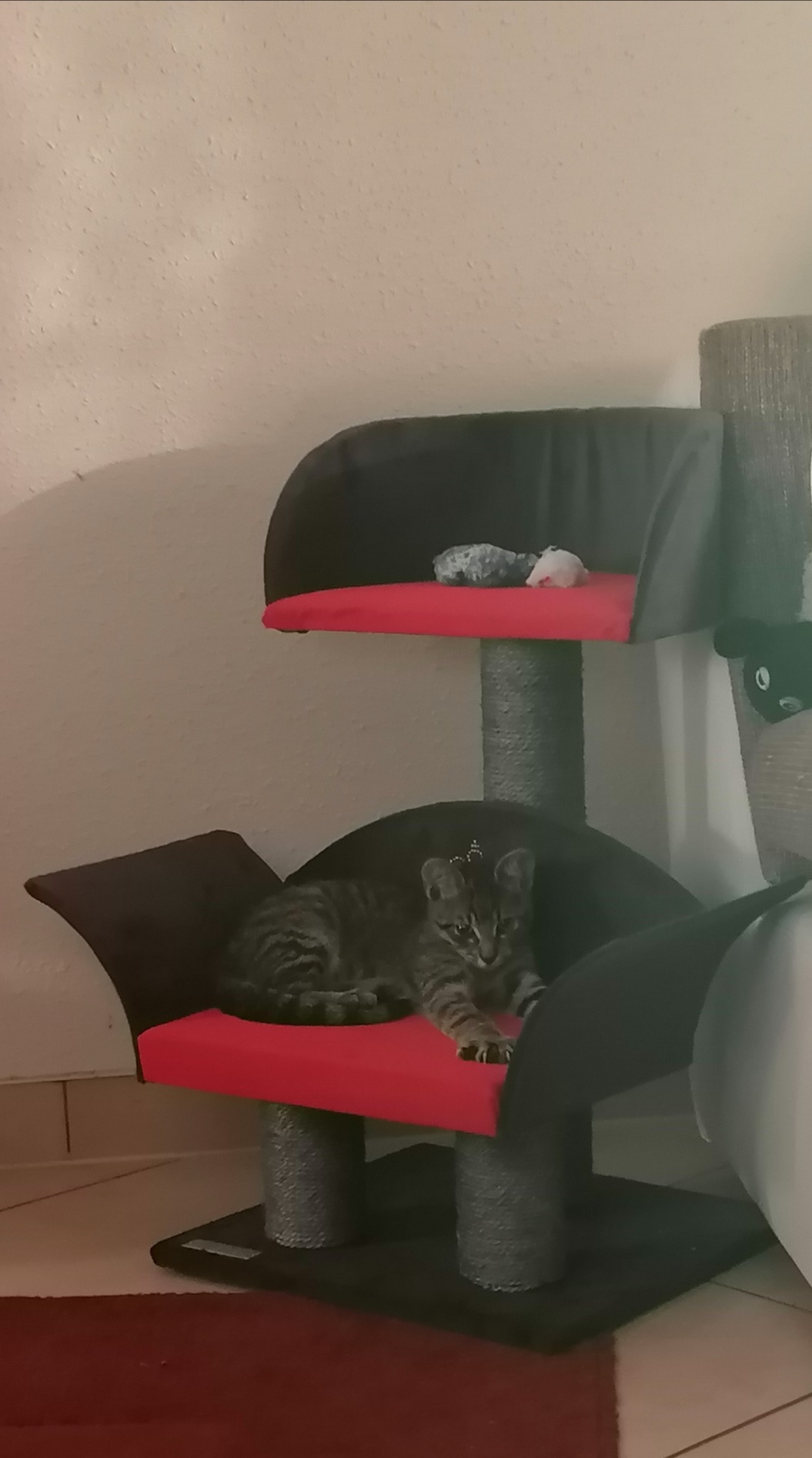 Perfekt für kleine Wohnung