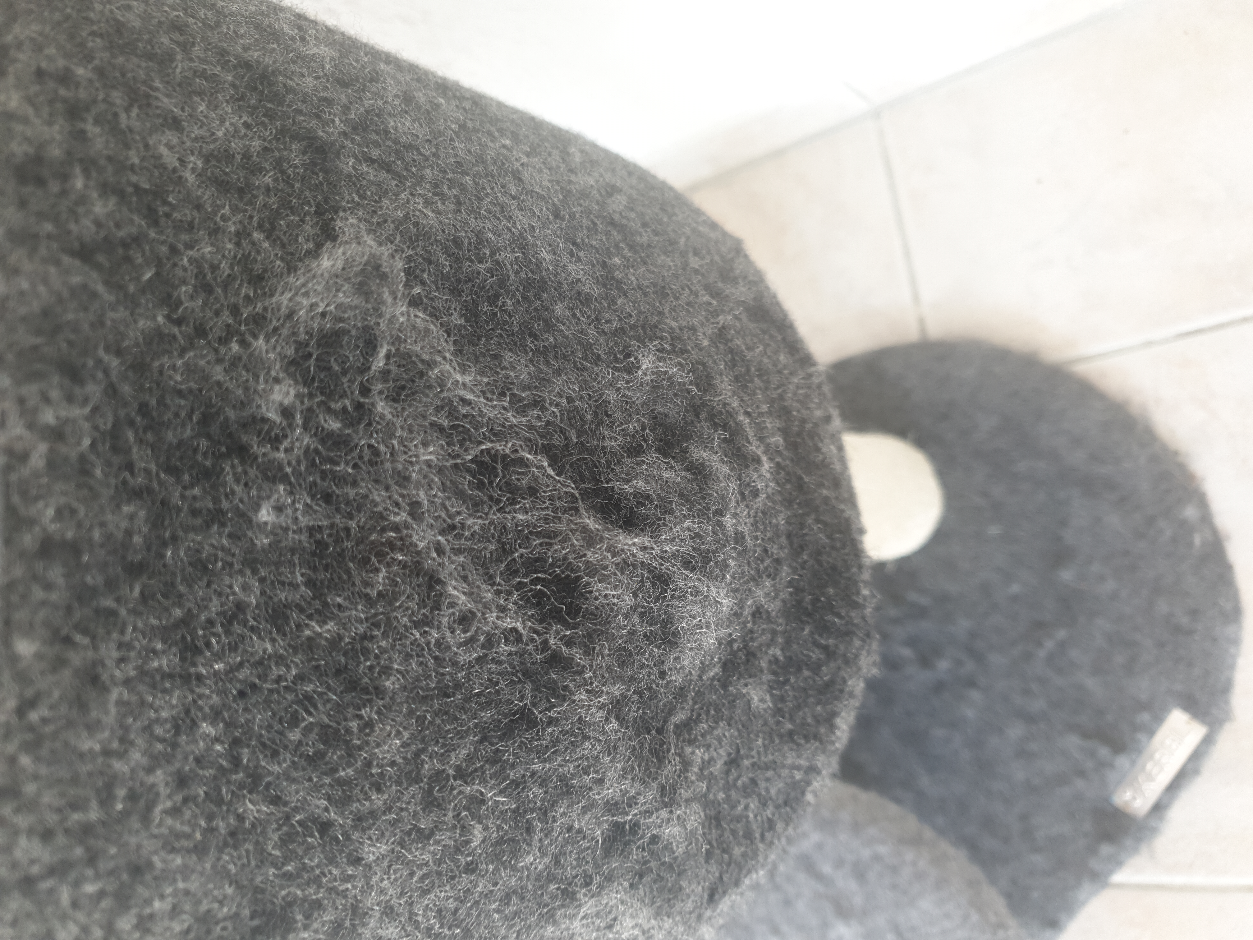 Perfekt für zwei Katzen