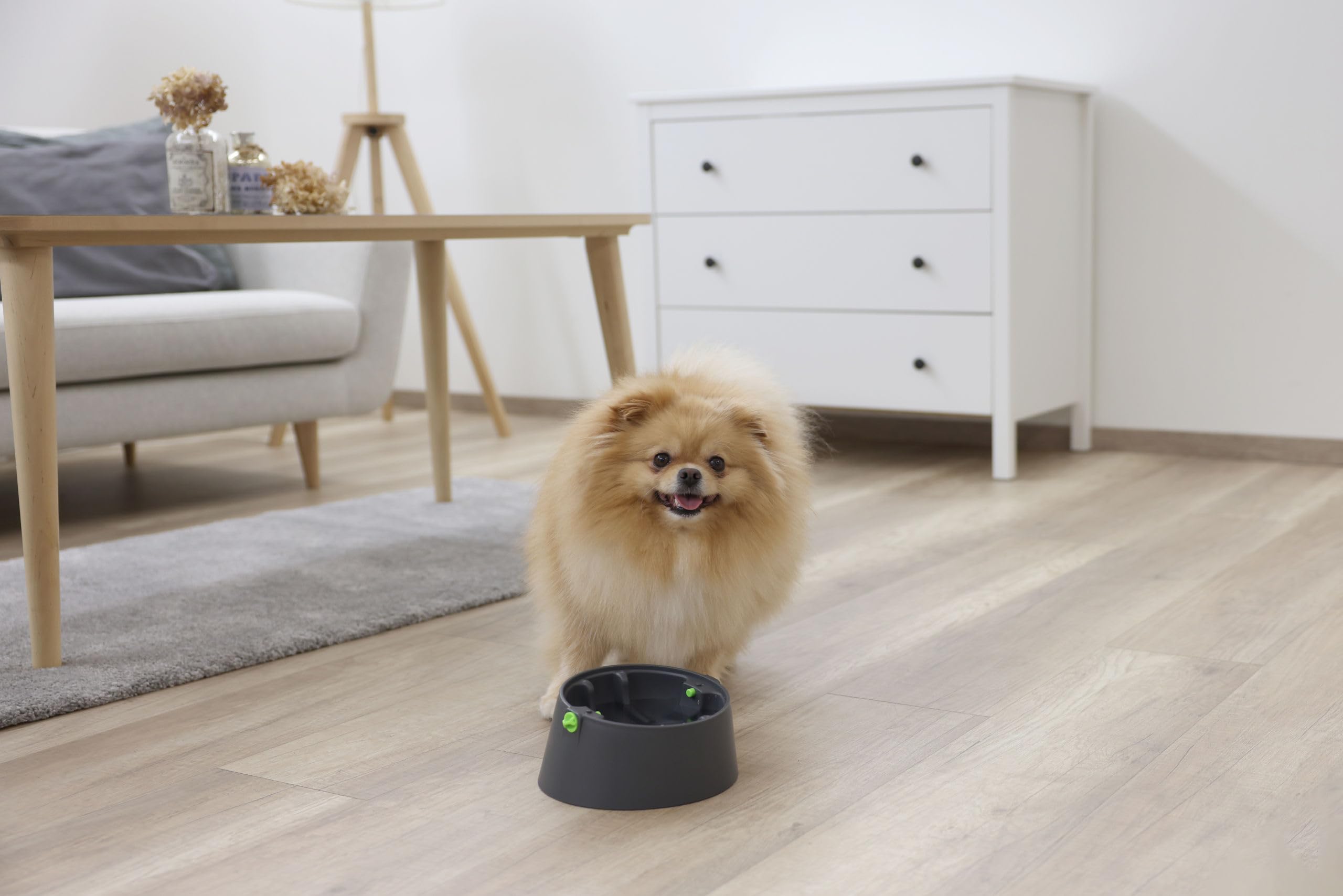 kerbl-pet-multifeeder-3in1-snackball-futterbar-leckteller-anti-schling-napf-hund image 7