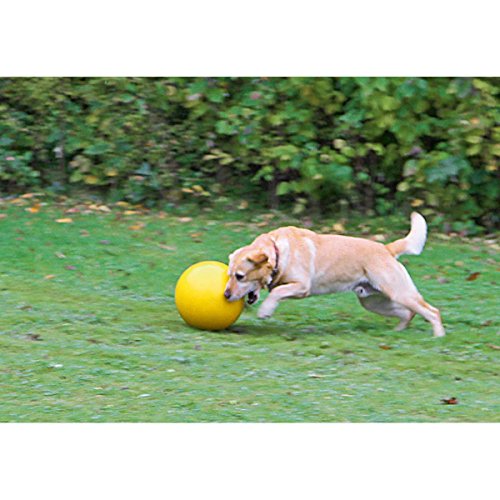 kerbl-pet-treibspielball-f-r-hunde-gelb-30-cm-800-g-schwimmf-hig image 4
