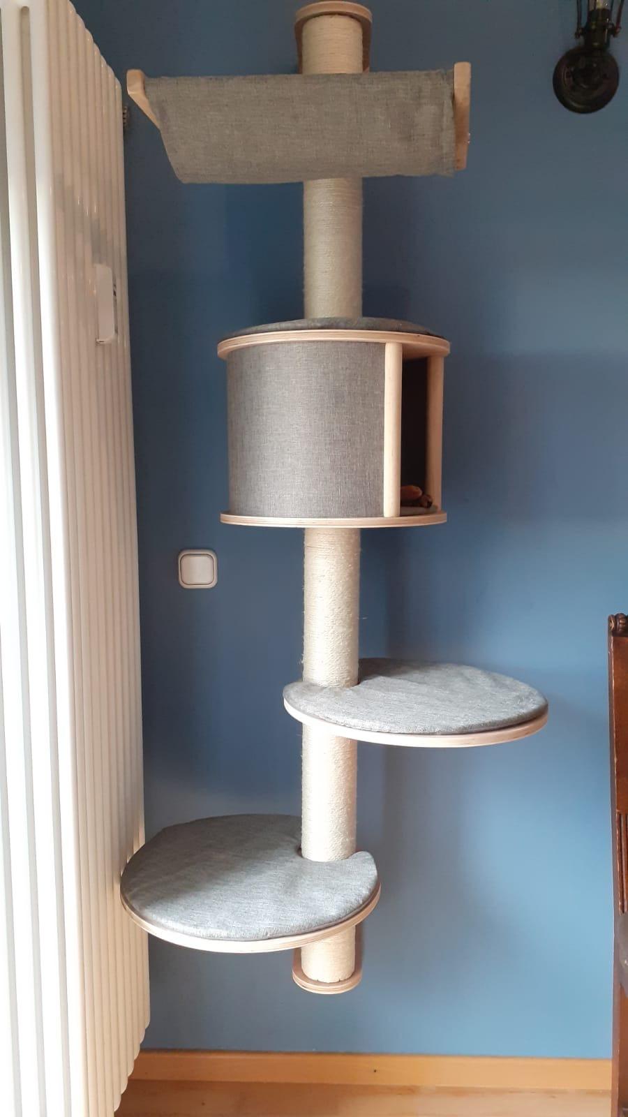 Drei Katzen, alle glücklich