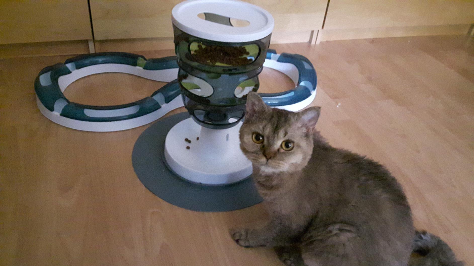 Schlaue Beschäftigung
