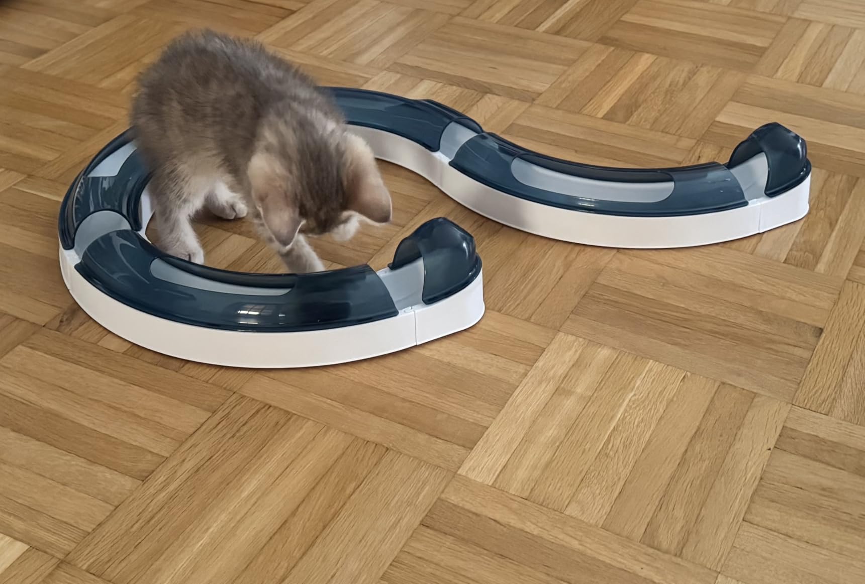 Stabil und katzengerecht