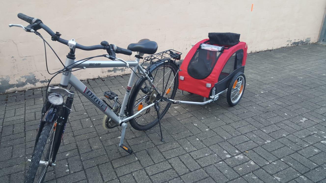 Nicht für ängstliche Hunde
