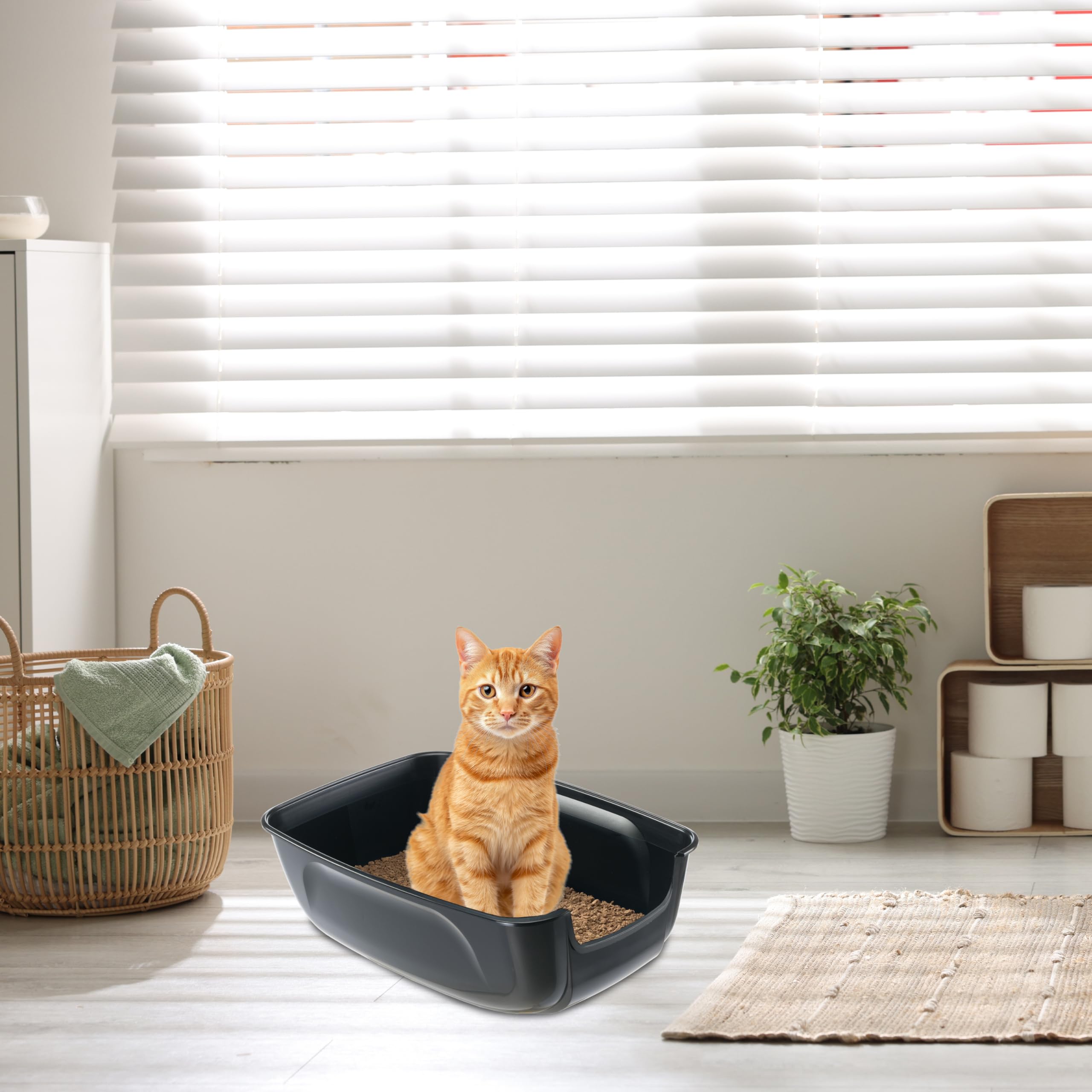 ferplast-nip-xxl-offene-katzentoilette-extra-large-l-67-x-b-49-x-h-24-cm-schwarz image 7