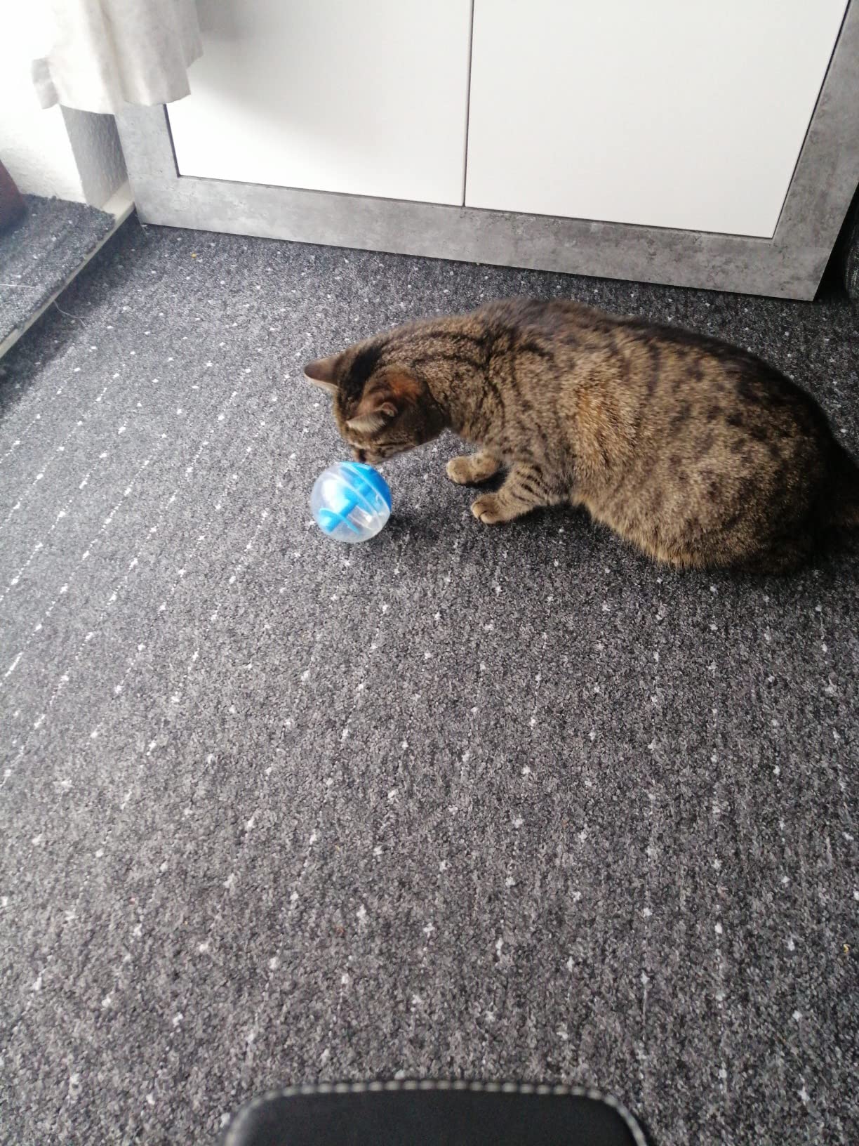 Miezi ist begeistert