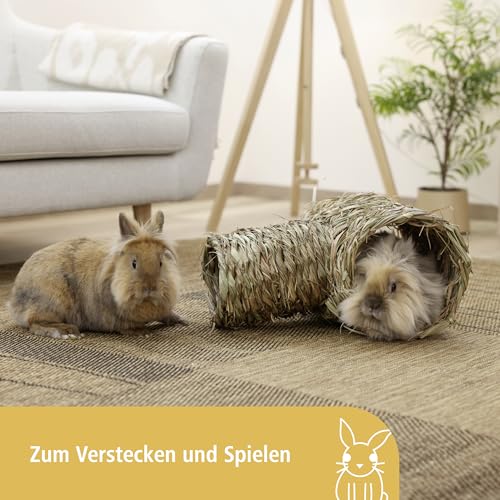 kerbl-pet-grasr-hre-2-teilig-nagerhaus-18x24cm-24x30cm-naturgras image 6