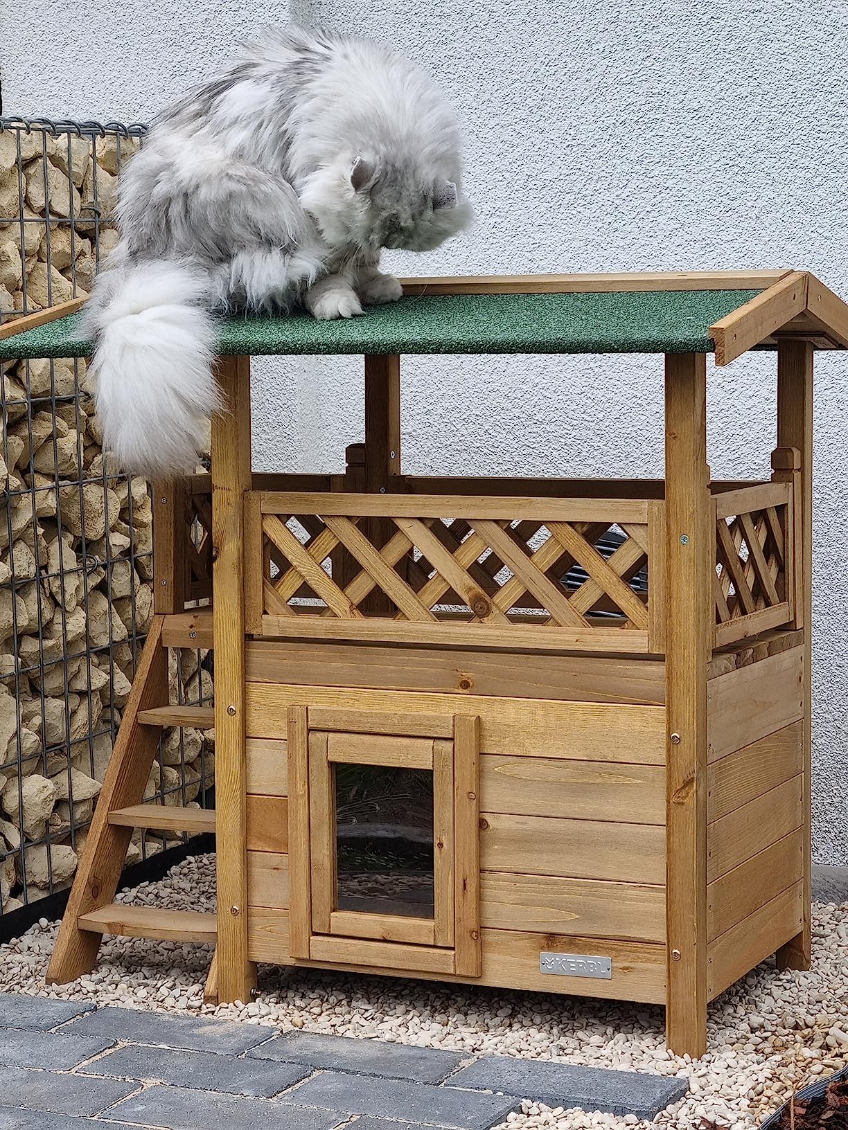 Top Preis-Leistung