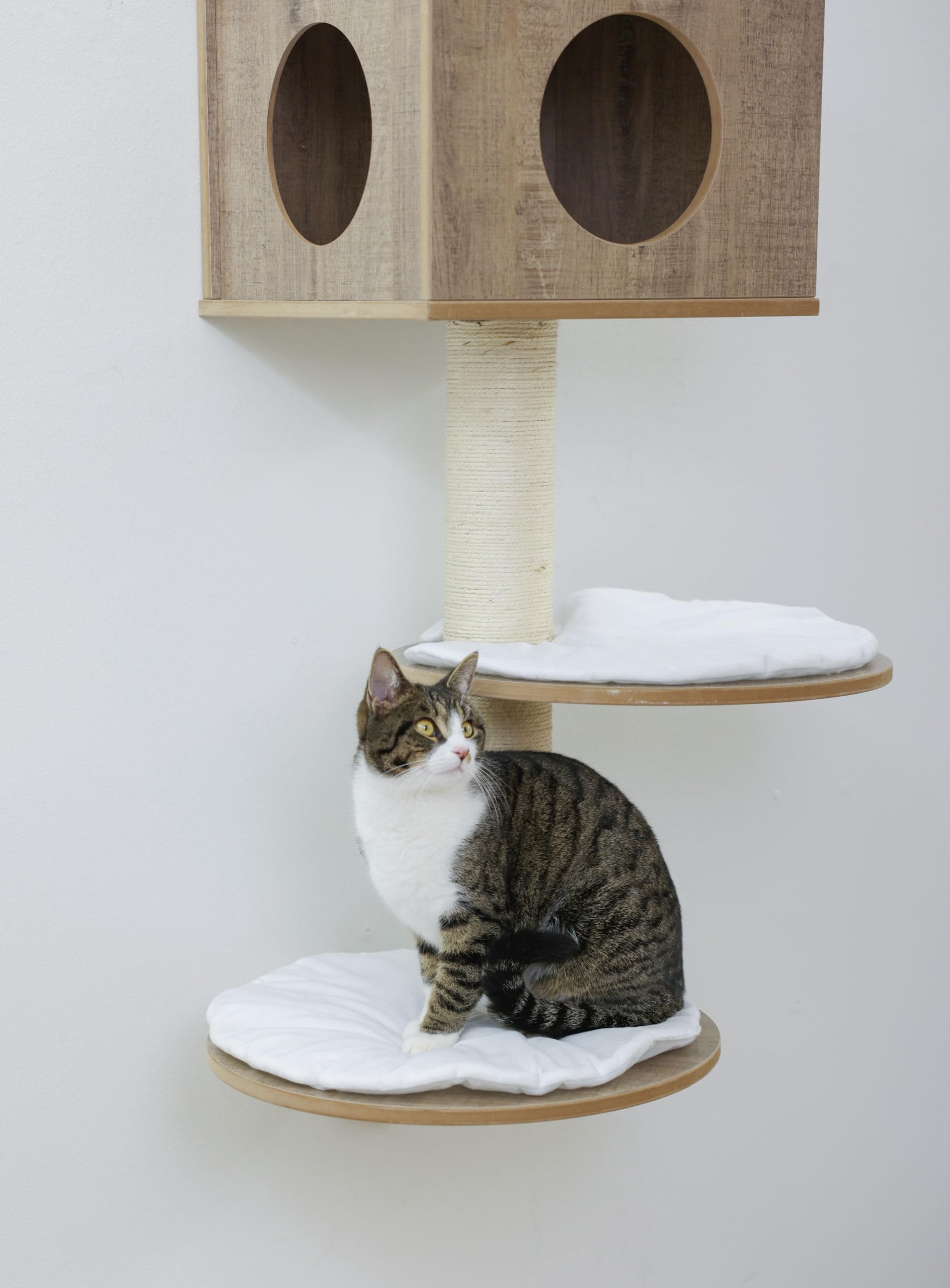 kerbl-pet-wandkratzbaum-dinari-45x45x177cm-braun-wei image 5
