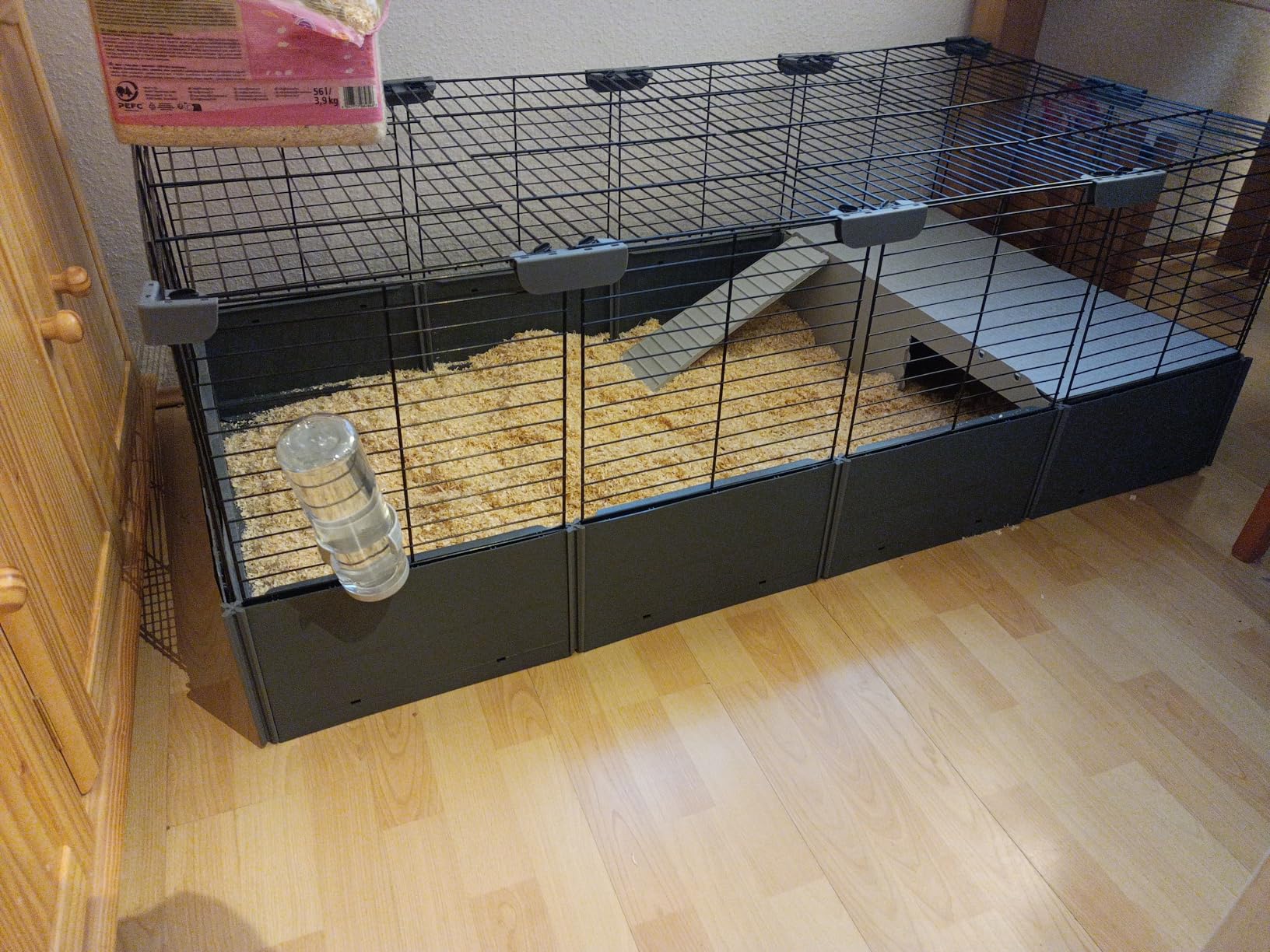 Riesen Gehege, glückliche Schweinchen