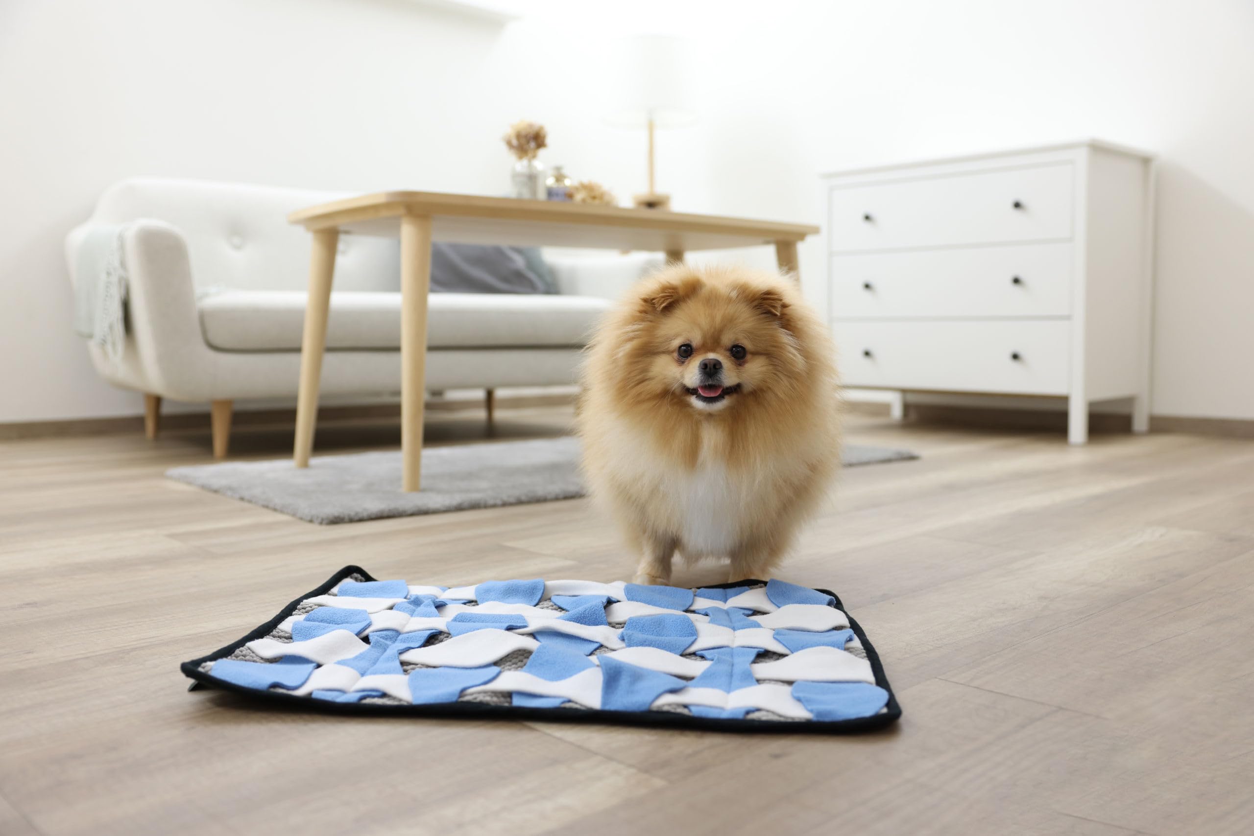 kerbl-pet-schn-ffelteppich-60x45-cm-grau-wei-blau-suchspiel-f-r-hunde image 4