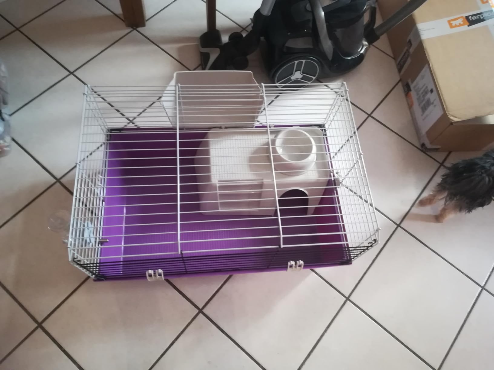 Komplettes Zuhause für unsere Schweinchen