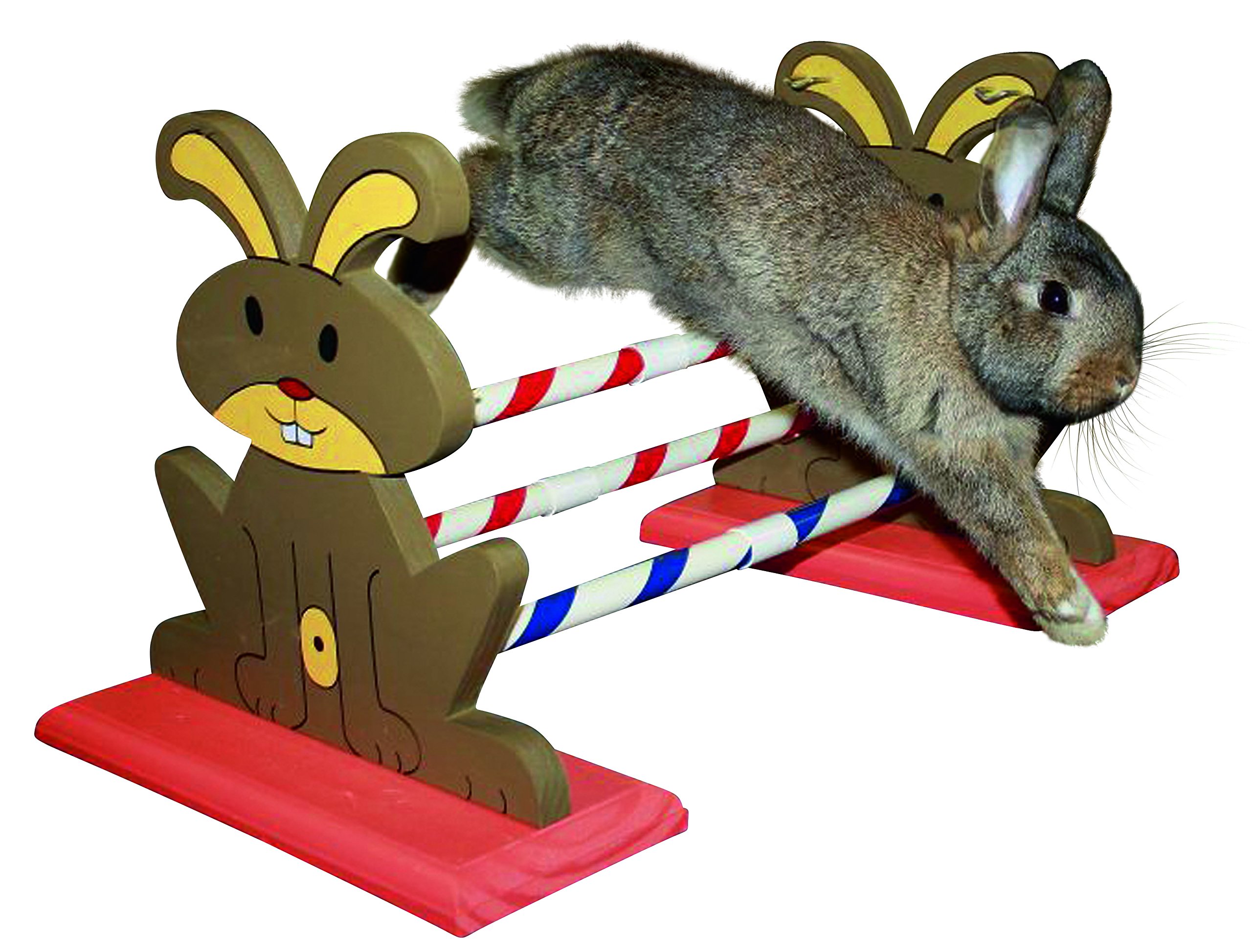 kerbl-pet-agility-nagerh-rde-62-x-33-x-34-cm image 4